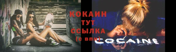 дмт Майский
