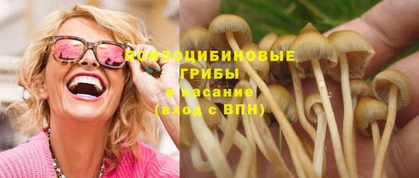 прущий лед Магас